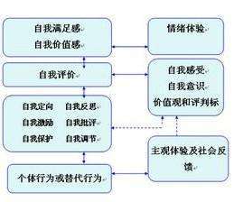 驾驶心理学